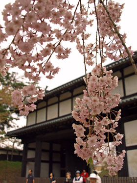 d0013068_22552382.jpg
