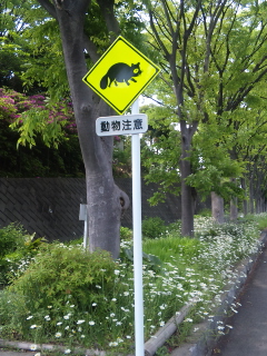 d0041268_21462488.jpg