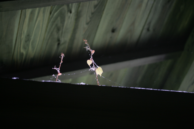 d0109568_2361214.jpg