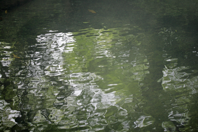 d0109568_2385121.jpg