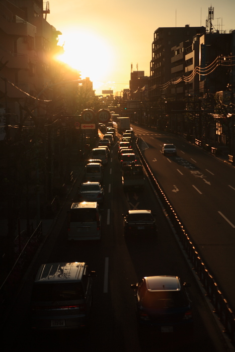 a0058669_1038244.jpg