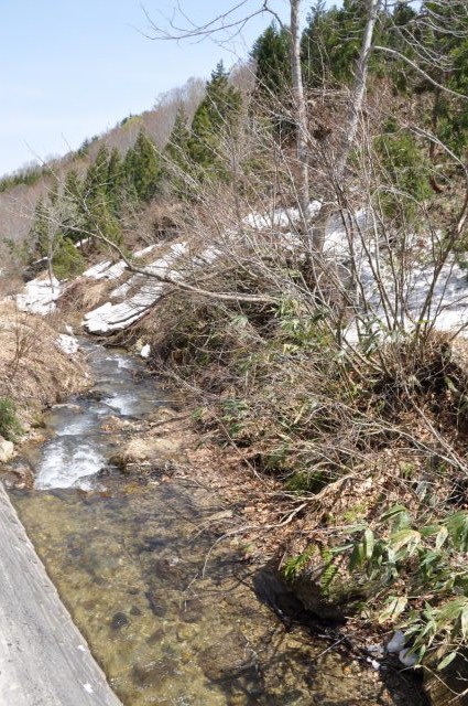 e0078069_9165100.jpg