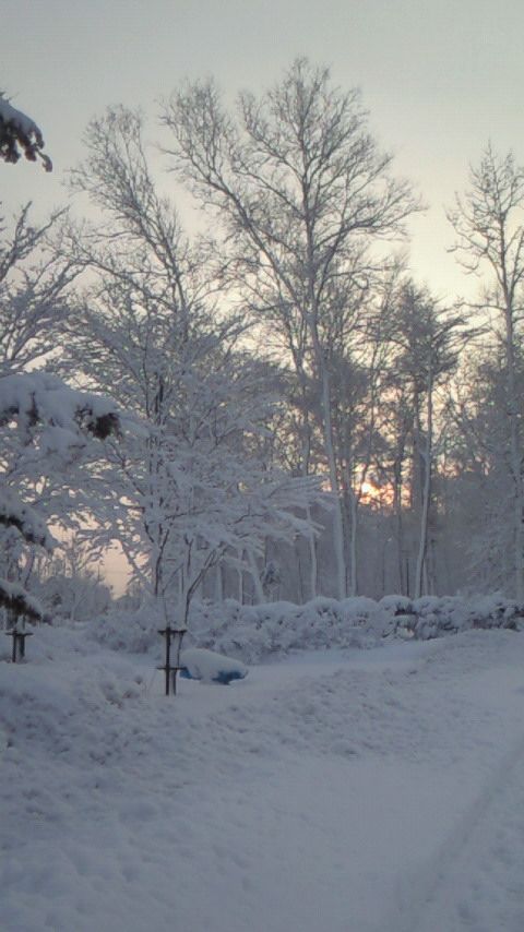 e0118970_14565874.jpg