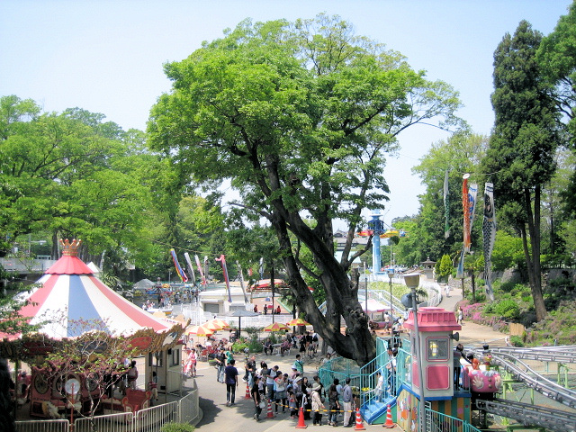 e0173670_8401391.jpg