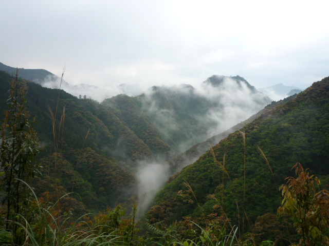 f0195870_22395752.jpg