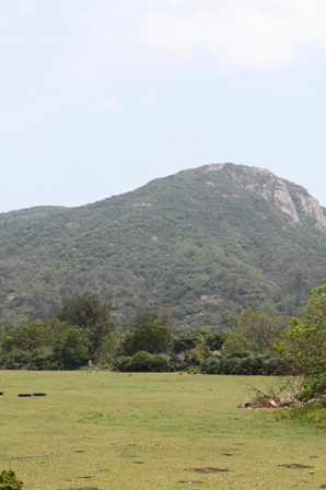 c0135971_22401358.jpg