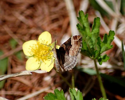 d0019074_10274254.jpg
