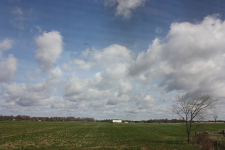 a0100975_11323237.jpg