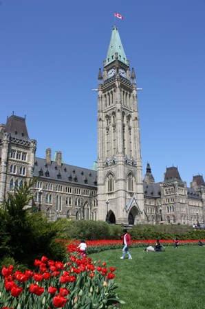 a0100975_1155838.jpg