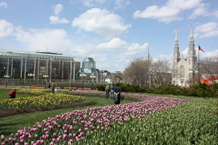 a0100975_12311316.jpg