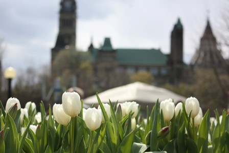 a0100975_1232577.jpg