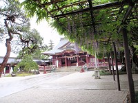b0004675_1295598.jpg