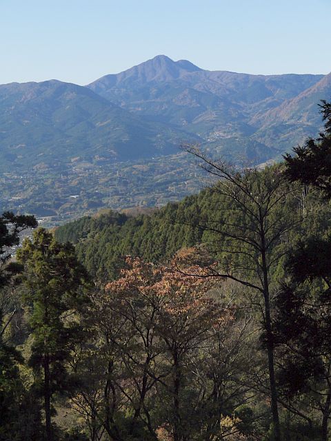e0022175_2051566.jpg