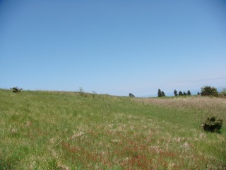 e0002676_2010065.jpg
