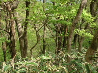 e0002676_201192.jpg