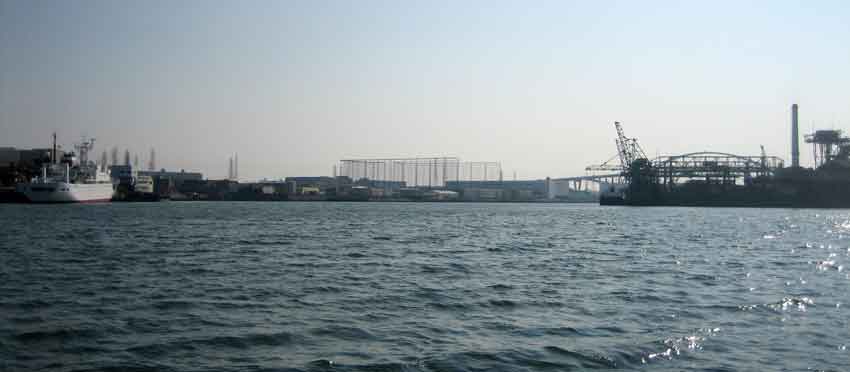 b0057679_8415425.jpg
