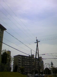 f0100480_1661887.jpg