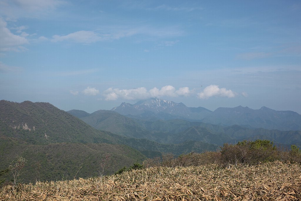 a0076683_759325.jpg