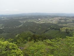 c0198485_1153393.jpg