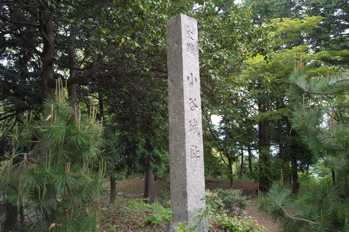 b0052286_12443287.jpg