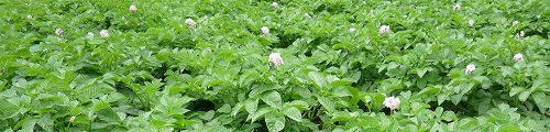 c0160488_224165.jpg