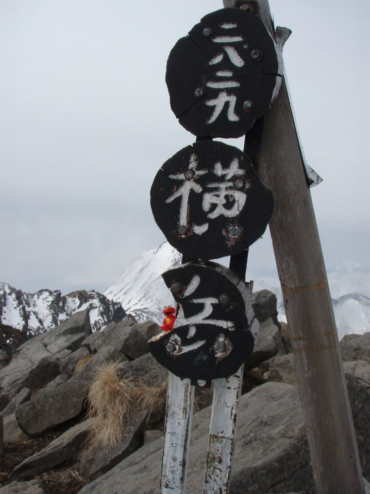 d0034291_11203446.jpg