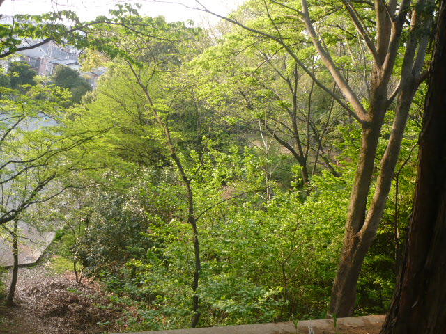 d0087091_9284355.jpg