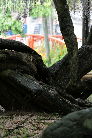 d0133693_6123440.jpg