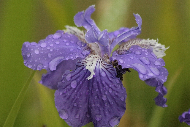 d0133693_652143.jpg