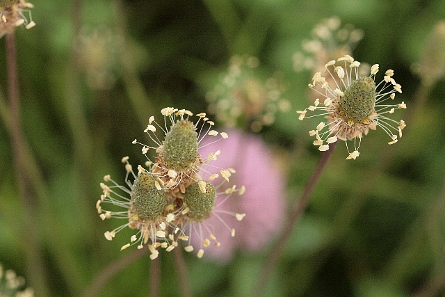 d0133693_654147.jpg