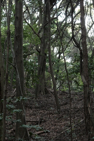 d0133693_661513.jpg