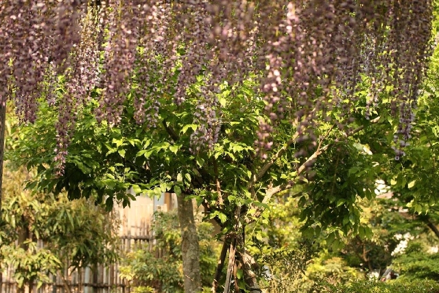 d0133693_7234970.jpg