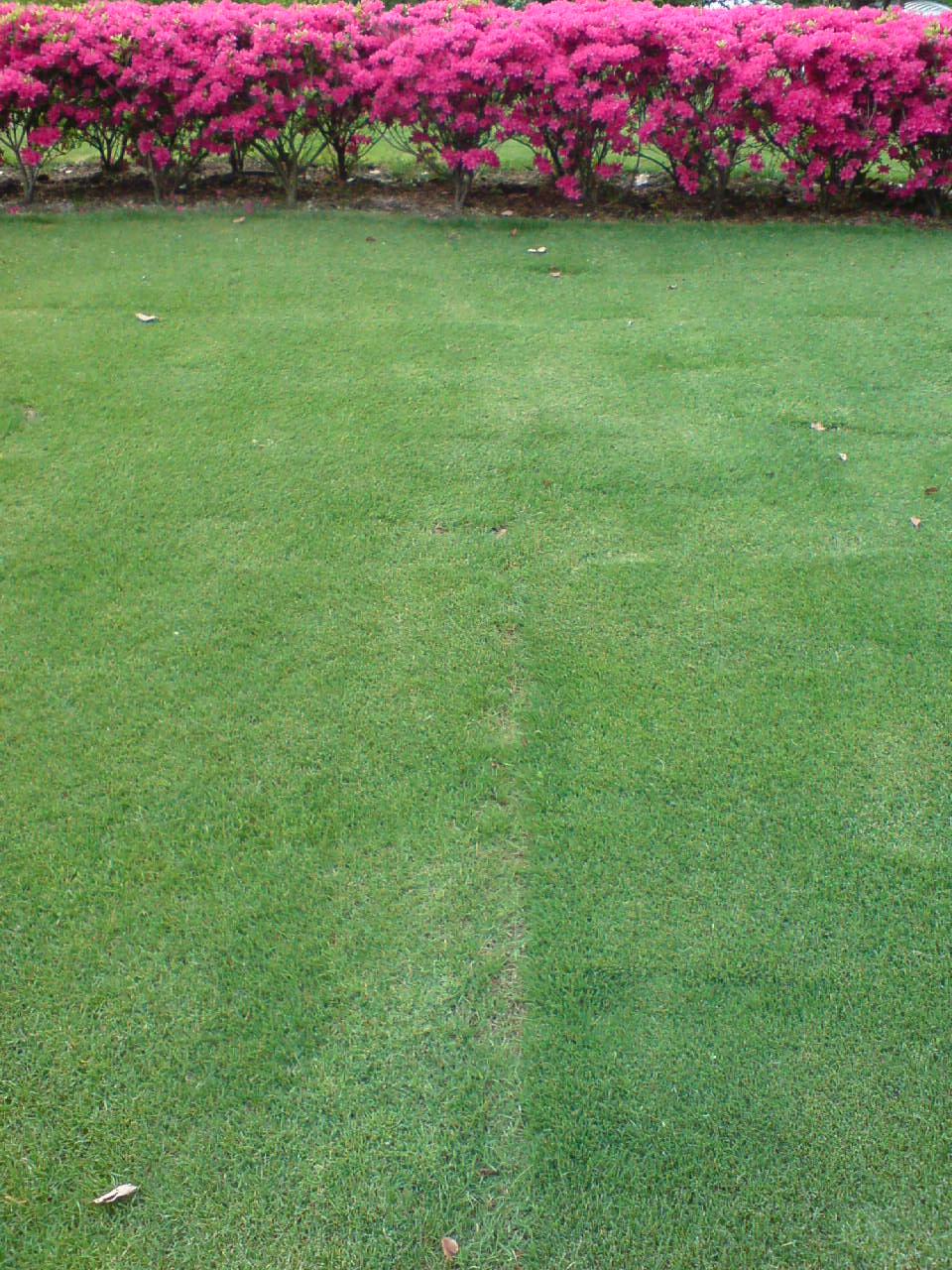 f0098094_0561057.jpg