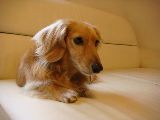 d0098295_23375614.jpg