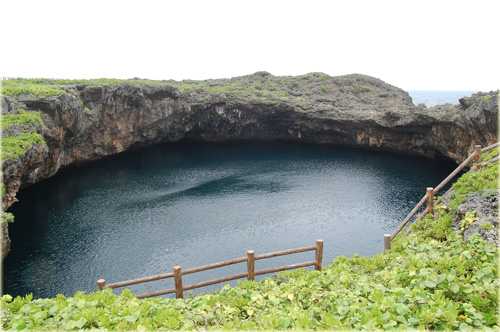 a0034198_421726.jpg