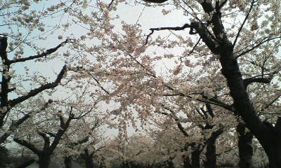 b0104198_1211024.jpg