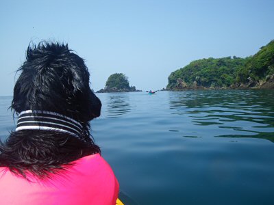 c0050400_22325676.jpg