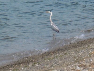 d0121300_0221955.jpg