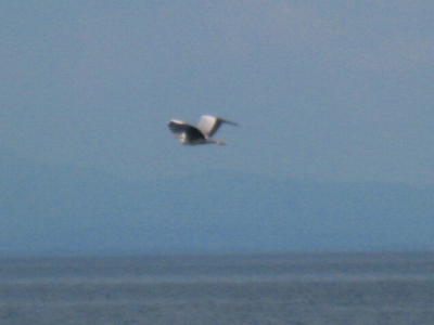 d0121300_0222654.jpg