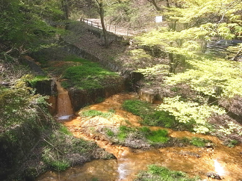 e0043700_23212956.jpg