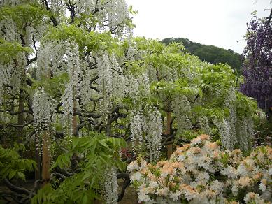 f0081100_2392858.jpg