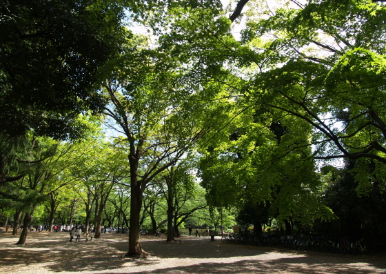 e0089001_2228411.jpg