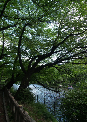 e0089001_2233316.jpg