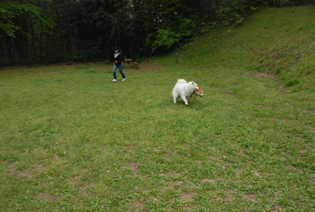 e0018604_8561327.gif