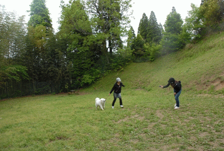 e0018604_8563053.gif