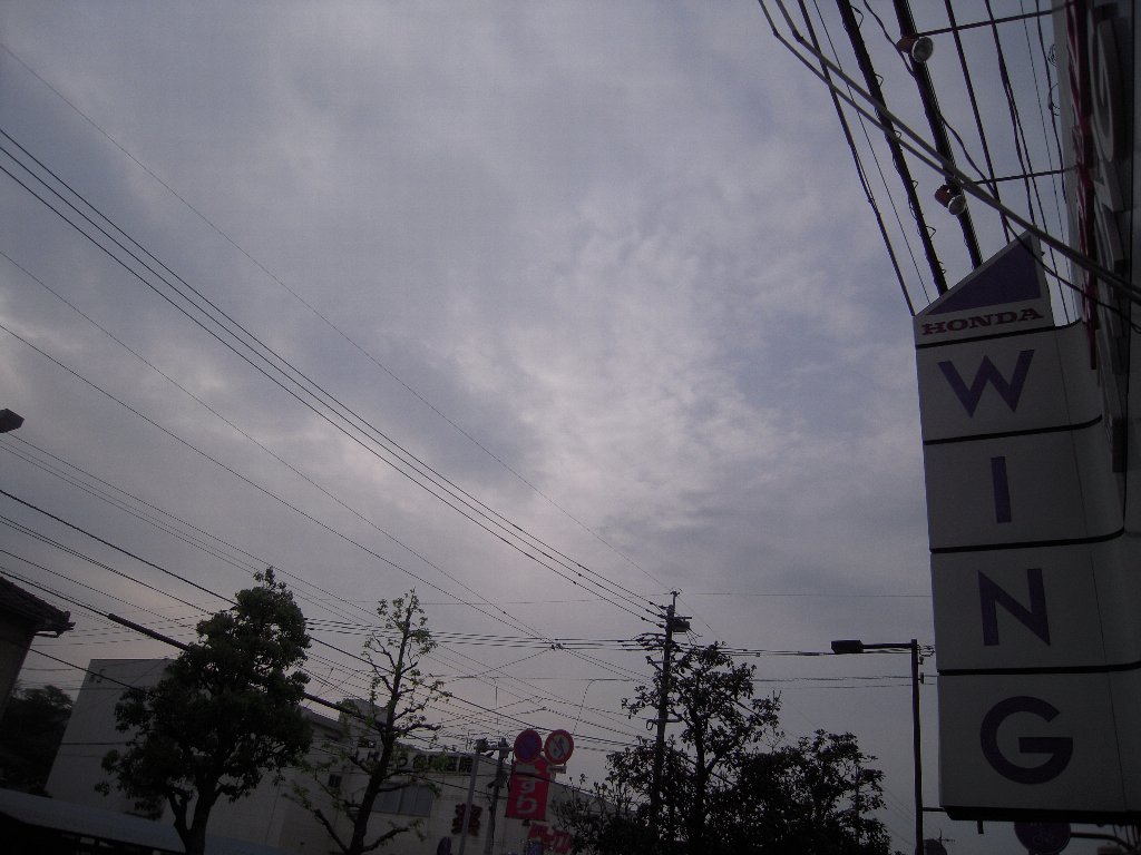 f0061705_20571111.jpg