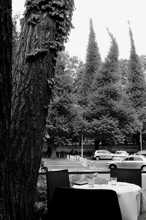 c0191707_15331891.jpg