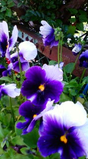 f0014209_050757.jpg