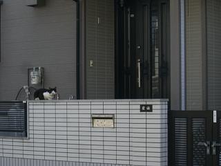 b0073616_1735458.jpg