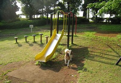 c0084117_1429230.jpg